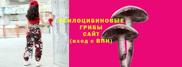 спайс Горно-Алтайск
