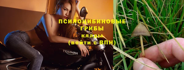 спайс Горно-Алтайск