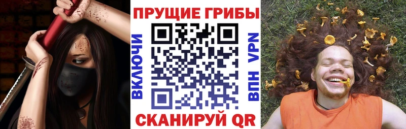 наркошоп  Морозовск  Галлюциногенные грибы ЛСД 